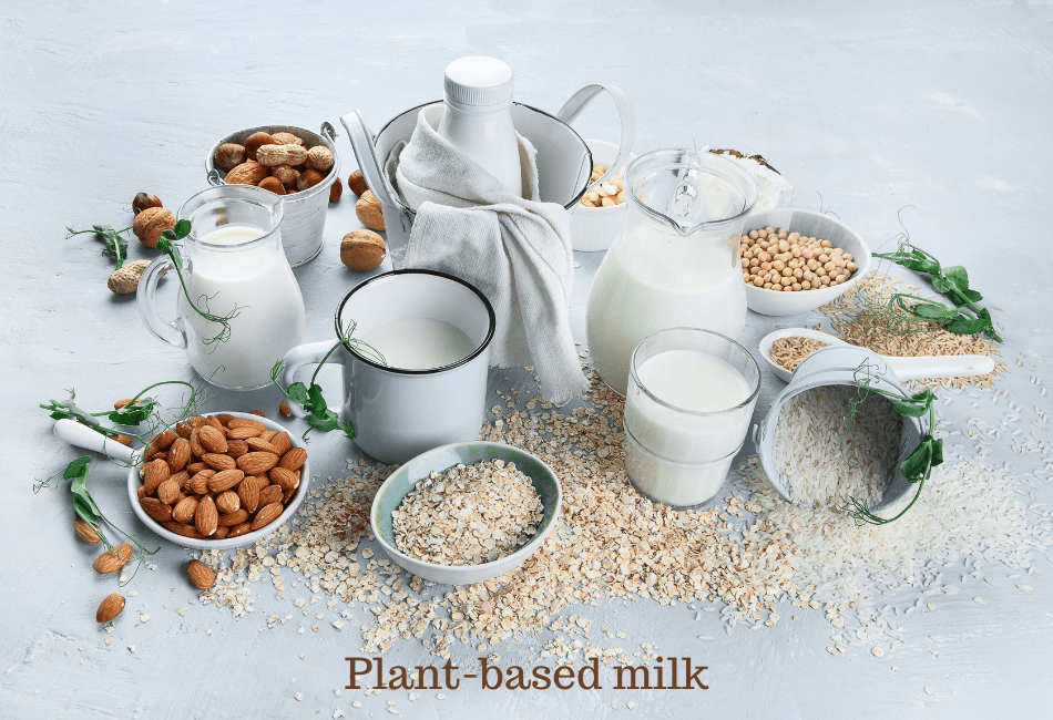 Dairy-Free Plant Mylks